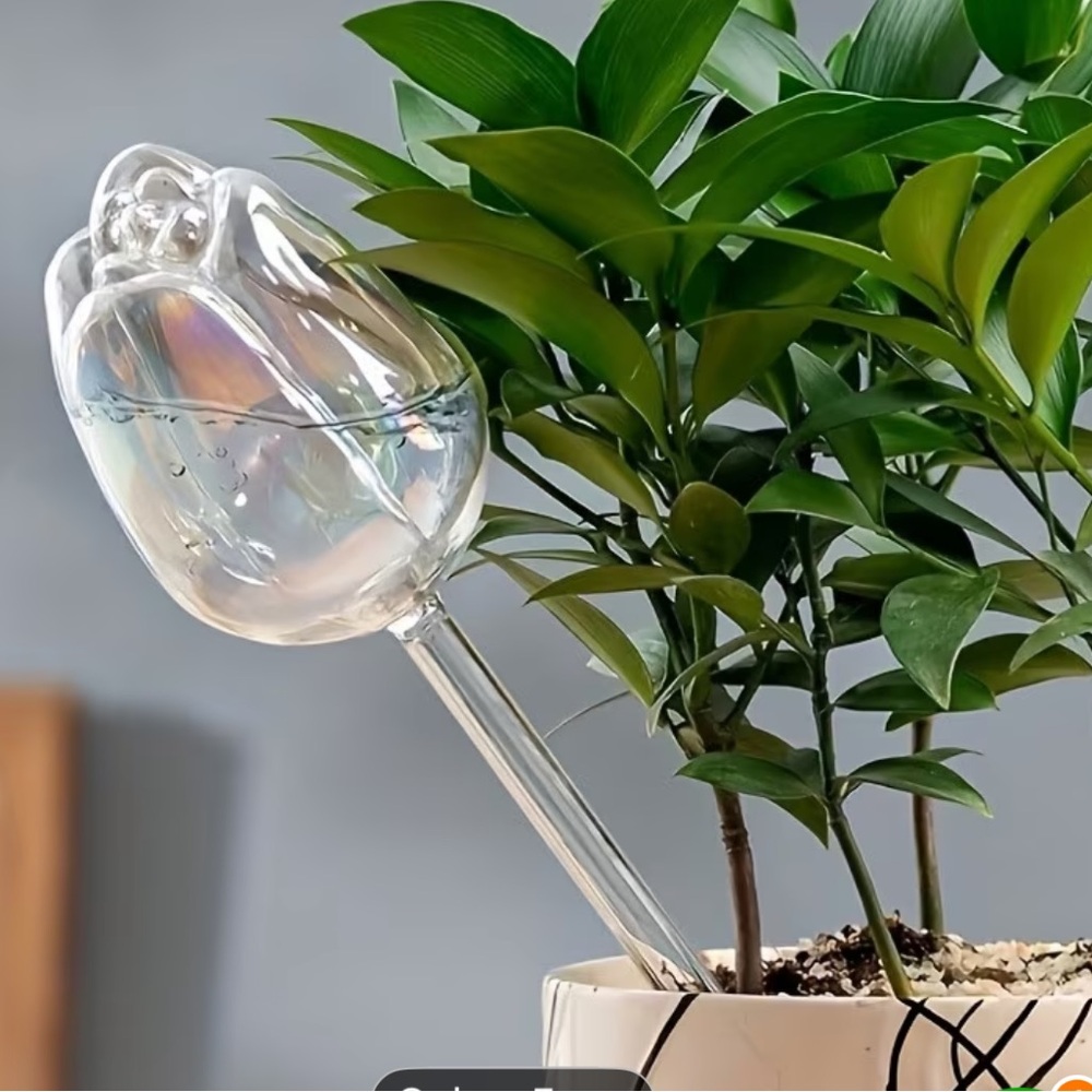 3Pcs Crystal Clear Watering Globes for Plants Self-Watering Sticks NEW